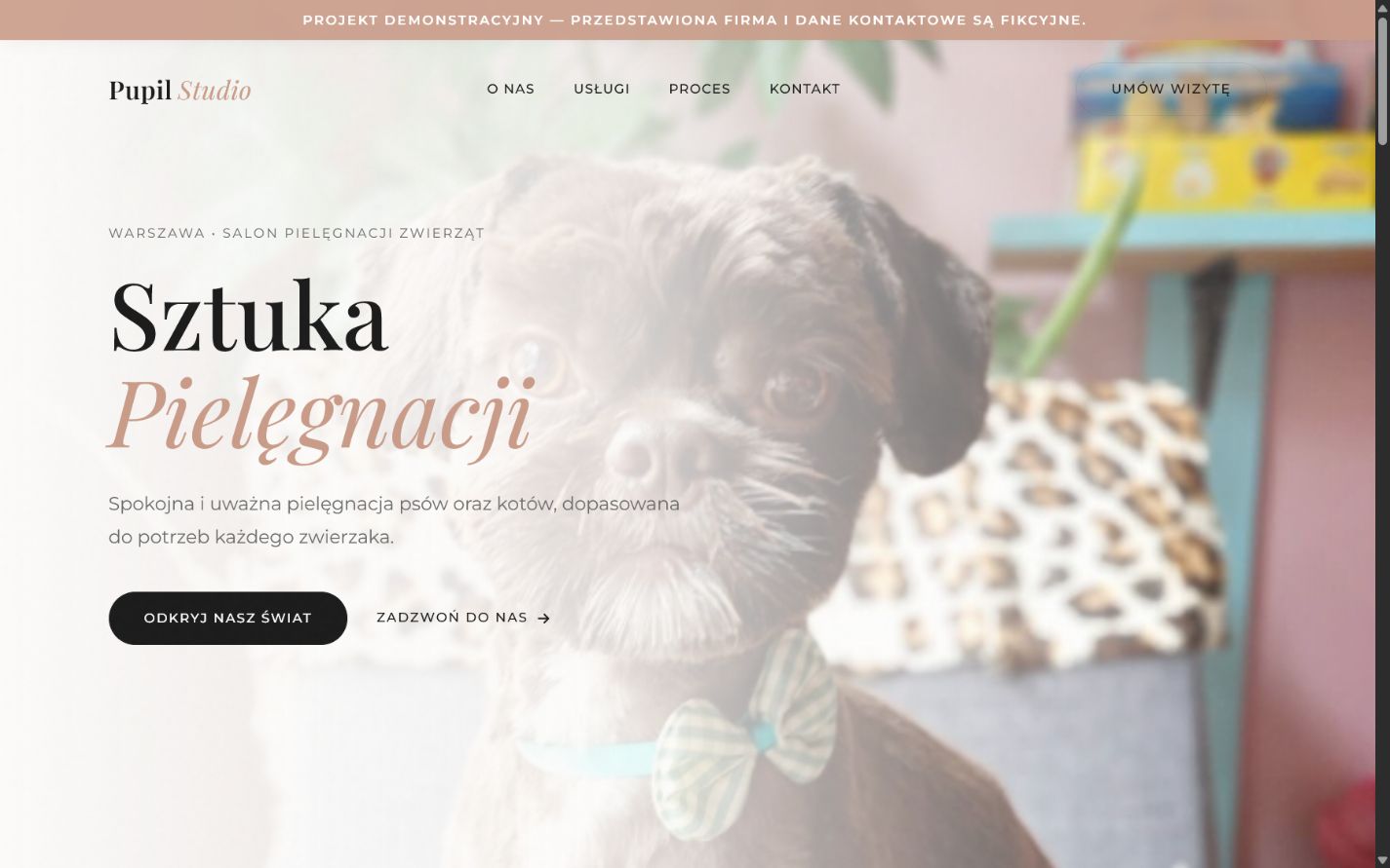 Projekt demonstracyjny strony dla salonu pielęgnacji zwierząt